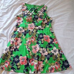 Classic Dressbarn Dress! EUC Size 18